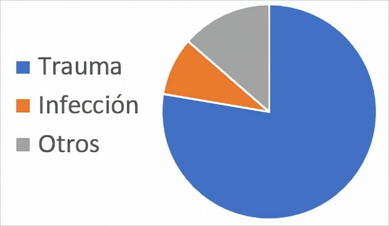 Gráfico de las causas de amputación