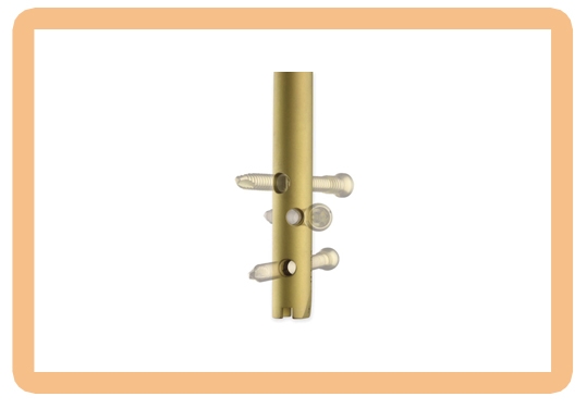 Trigen Meta Nail Femoral