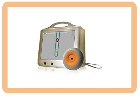 Trigen Humeral Nail System